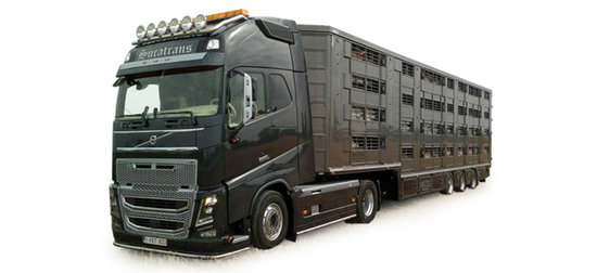 LKW Volvo FH GL XL cattle Träger Aufliegers